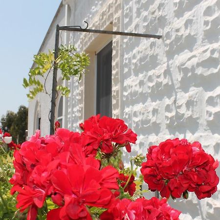 B&B Stella Marina 만프레도니아 외부 사진